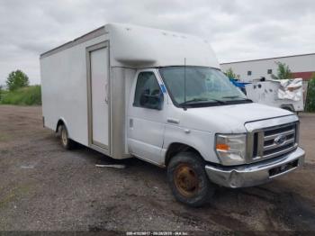  Salvage Ford Rockport